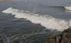 熊猫直播-关于长江后浪推前浪，欧预赛年轻新秀抢眼！的信息