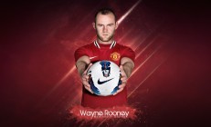 熊猫直播官网-当戴维斯杯横扫ATP总决赛，集体灵魂的胜利，与安迪·穆雷的那道孤光