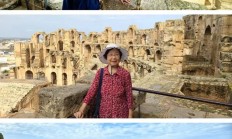 熊猫直播平台-关于突尼斯代表团取得优异成绩，成就辉煌的信息