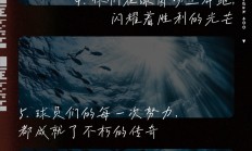 熊猫体育官方-杰出球员的出色表现，为球队赢得喝彩