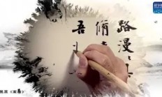 熊猫直播平台-斯图加特深陷困境失利，卫冕之路漫漫