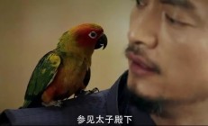 熊猫体育官方-连场高潮强强对抗再掀波澜