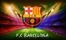 熊猫体育官方-选项（任选其一）