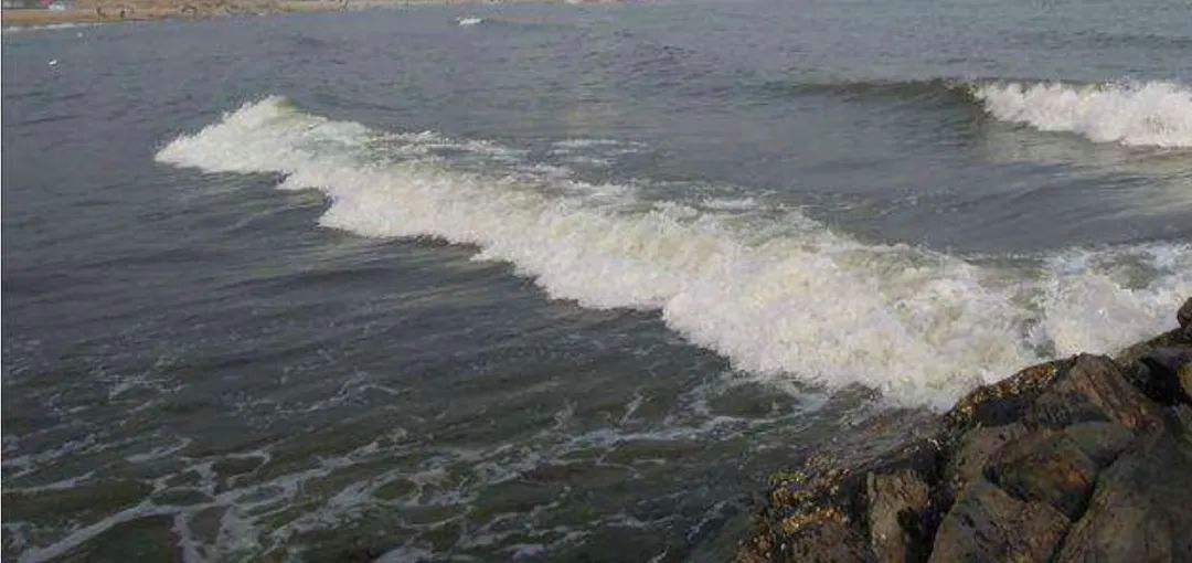 关于长江后浪推前浪,欧预赛年轻新秀抢眼!的信息 关于长江后浪推前浪,欧预赛年轻新秀抢眼!的信息