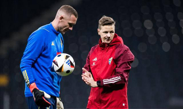 瑞典力克斯洛伐克,晋级欧洲杯八强赛 瑞典力克斯洛伐克,晋级欧洲杯八强赛