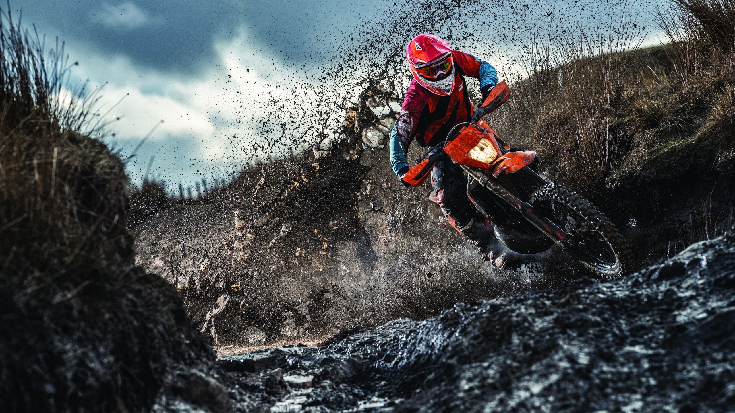 青铜剑与铁幕，韩国队的横扫与王皓的孤独统治